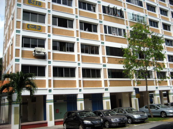 Pasir Ris Street 51 thumbnail photo